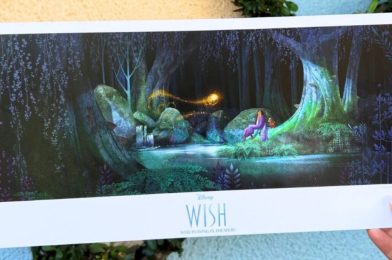 Disneyland Resort Offering ‘Wish’ Poster to Magic Key Holders