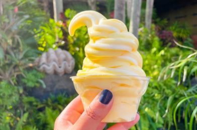 13 BELOVED Snacks That Are Officially Confirmed as Disney Dining Plan Snack Credits