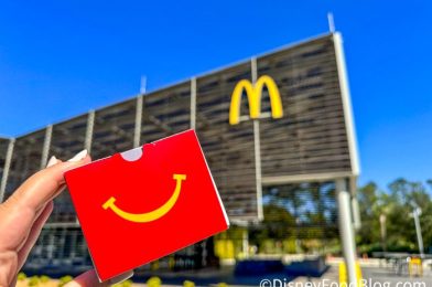 This Is NOT a Drill! A Popular McDonald’s Menu Item Is BACK!