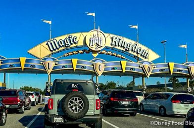 4 Items That Are Forbidden From Disney World and What to Bring Instead