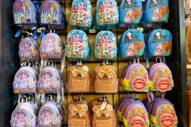 The NEW Disney Park Bag That Will Have Everyone Asking You Where You Bought It