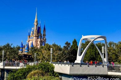 Does Disney Really Have TWO “Secret Doors” in Magic Kingdom?