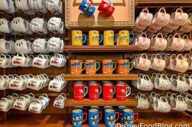 Souvenir Alert! There’s ANOTHER NEW Starbucks Mug In Disney World Right Now!