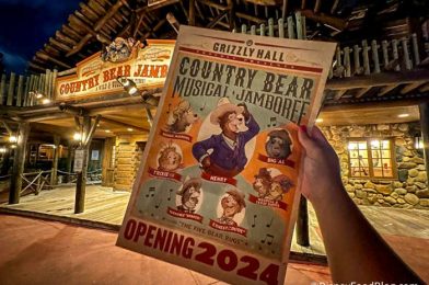 DFB Video: Latest Disney News: Opening Day Attraction Now Closed, Beignets Coming to Magic Kingdom & More!