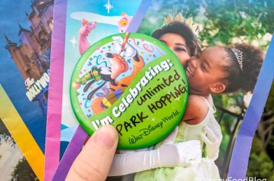NEW Guide to Park Hopping in Disney World