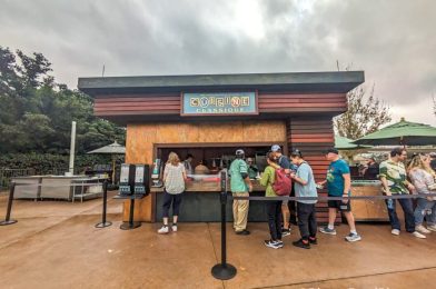 REVIEW: We’ve Got To WARN You About This Beer In Disney World