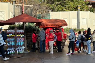 Full List (With Prices) of All 2024 Lunar New Year Merchandise at Disney California Adventure