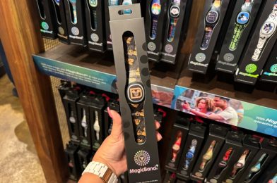New Walt Disney World Cinderella Castle and Park Icons MagicBand+ Designs