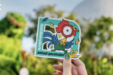 New Hei Hei Annual Passholder Magnet Coming to Walt Disney World This Month