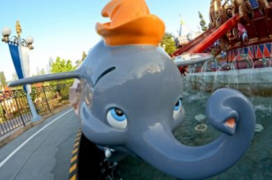 Why Disneyland is the Best Theme Park for Families