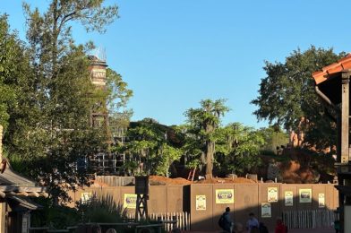 PHOTOS: Construction Walls Moved Again, Weathervane Installed on Tiana’s Bayou Adventure in Magic Kingdom