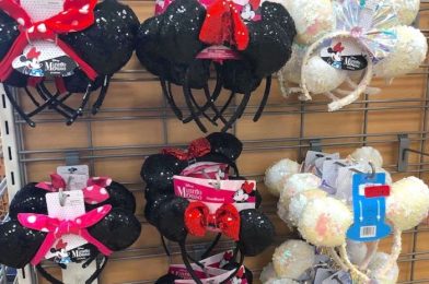 25 CHEAP Disney Souvenirs That You Can Get at HomeGoods