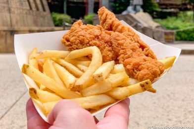 The EXCLUSIVE Place Where You Can Buy Giant Bags of Disney World Chicken Tenders