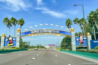 EXCLUSIVE Hotel DISCOUNT Announced for Disney World!