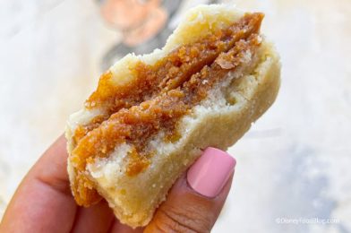CONFESSION TIME: These 5 Disney World Snacks Have Us Sneaking Back Into the Parks After Work
