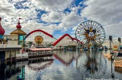 NEWS: State of Emergency Issued for Southern California, Including Disneyland