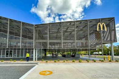 CONFIRMED: McDonald’s Announces NEW Menu Items Coming This Year!