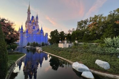 A Full List of New Theme Park Land Expansions Disney Is Planning