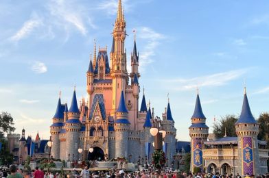 Disney Shares BIG UPDATE on Park Expansions