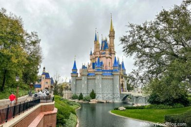 These 3 Disney World Rules May Ruin Your Day!