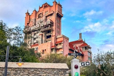 4 Unfortunate Things That Happen Every Time We Go to Disney’s Hollywood Studios