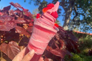 REVIEW: Yes, WINE Dole Whip Exists in Disney World 😲
