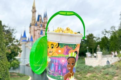 A NEW Disney Popcorn Bucket Is Out NOW!