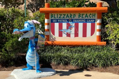 Disney’s Blizzard Beach Water Park Closing This Weekend Due to Low Temperatures and Expected Rain