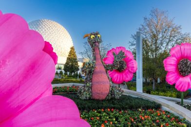 2024 EPCOT International Flower & Garden Kicks Off at Walt Disney World & More: Daily Recap (2/28/24)