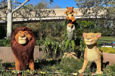 Beauty and the Beast, Kermit and Miss Piggy, & More Topiaries Installed for 2024 EPCOT International Flower & Garden Festival
