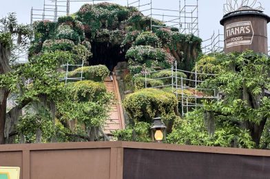 PHOTOS, VIDEO: Water Flowing in Tiana’s Bayou Adventure Flume at Magic Kingdom
