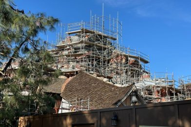 PHOTOS: Scaffolding Erected Around Tiana’s Foods Water Tower at Disneyland