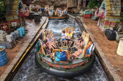 Kali River Rapids at Disney’s Animal Kingdom Reopening One Day Early
