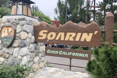March 1st Is a BIG Day for Disney’s Soarin’ Fans