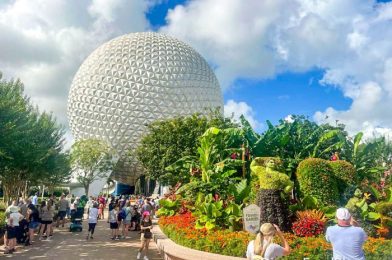 NEWS: Flower and Garden Festival Kiosks and Topiaries Are UP in EPCOT!