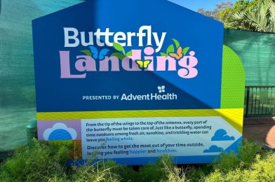 Signage Installed for Butterfly Garden at 2024 EPCOT International Flower & Garden Festival