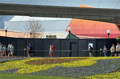 PHOTOS: 2024 Flower & Garden Festival Booth Installed Behind Construction Walls at EPCOT Flex Space