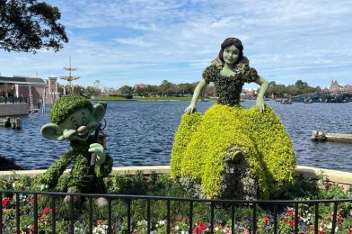 PHOTOS: Snow White and Dopey Topiaries Installed for 2024 EPCOT International Flower & Garden Festival