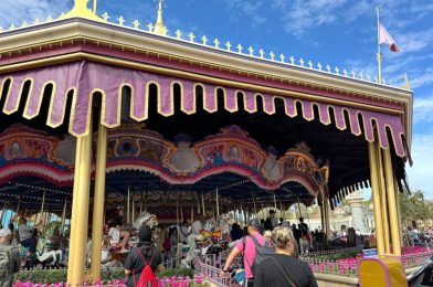 PHOTOS: Prince Charming Regal Carrousel Canopy Under Refurbishment at Magic Kingdom