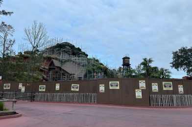 PHOTOS: Tiana’s Bayou Adventure Crews Removing Scaffolding, Shaping Foliage, and More in Magic Kingdom