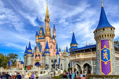 How Disney World’s Magic Kingdom Expansion Has Changed