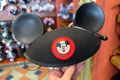 Man Charged with Robbery, a Third-Degree Felony, for Stealing Mickey Mouse Ears Off Guest’s Head