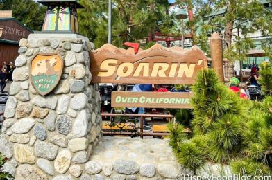 CONFIRMED: Disney’s MAJOR Soarin’ Ride Change Starts NOW!