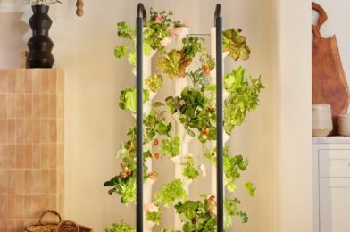 Make Your Home Like Living With the Land with This At-Home Garden