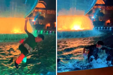 VIDEO: Guest Jumps into AquaSphere at Tokyo DisneySea