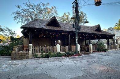 New Seating Area Now Open at Harambe Market in Disney’s Animal Kingdom