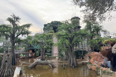 PHOTOS: Briar Patch Turned Into Swamp at Tiana’s Bayou Adventure in Magic Kingdom