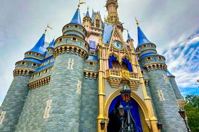 I SKIP Magic Kingdom When I Go to Disney World…Let Me Explain