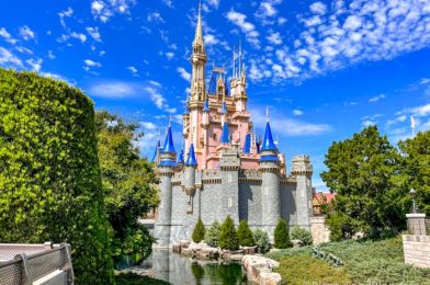 DFB Video: The BEST Disney World Tips & Tricks of All Time