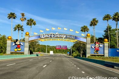 Disney World Might STILL Get a Train Route to the Airport…But It’ll Cost Serious $$$